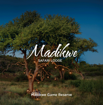 Madikwe Safari Lodge